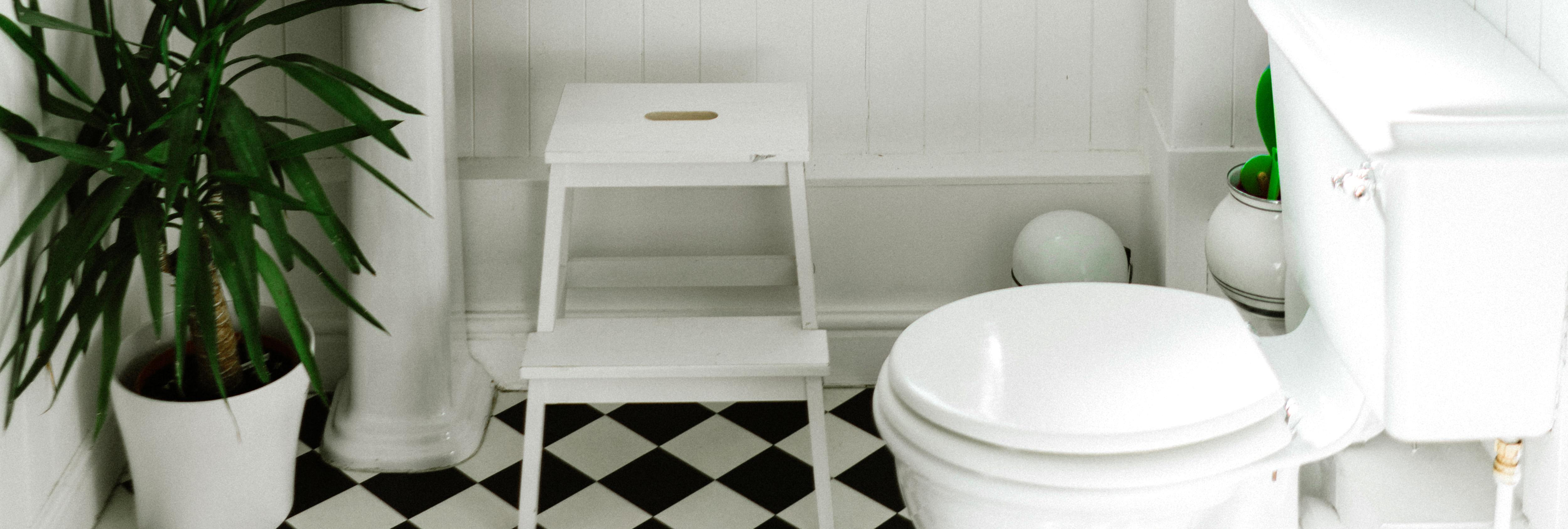 How to Unclog Toilet Without a Plunger - 6 Clogged Toilet Fixes