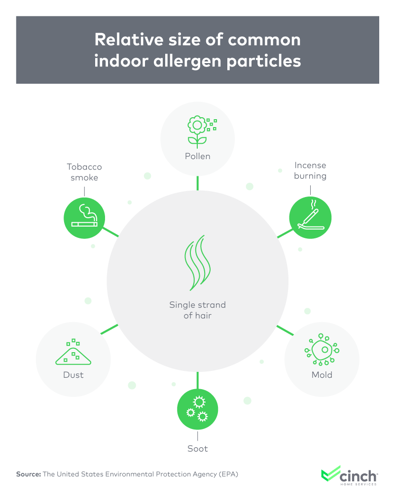 Guide to Reducing Allergens in Your Home and Improving Indoor Air