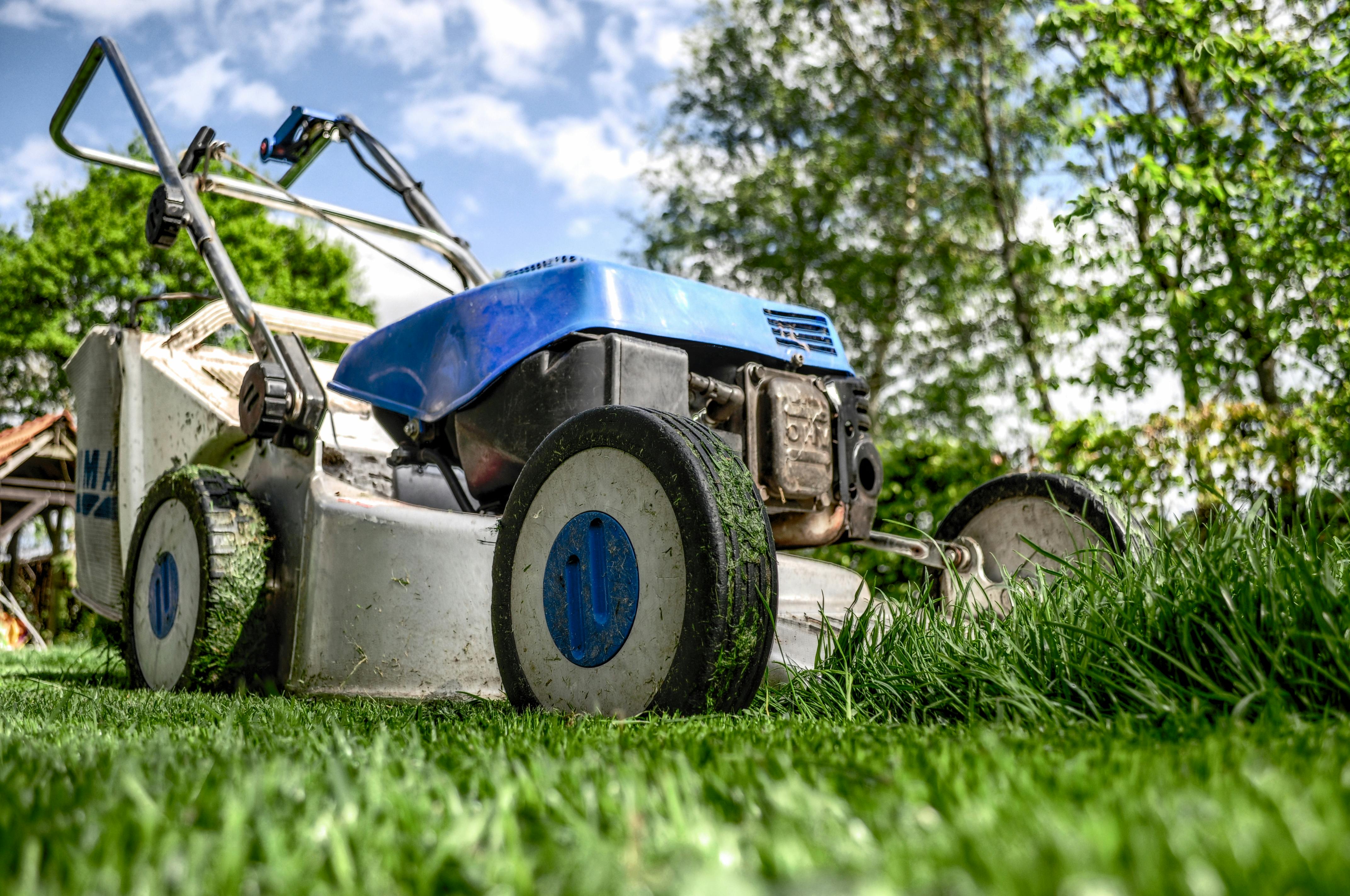 lawnmower on the grass