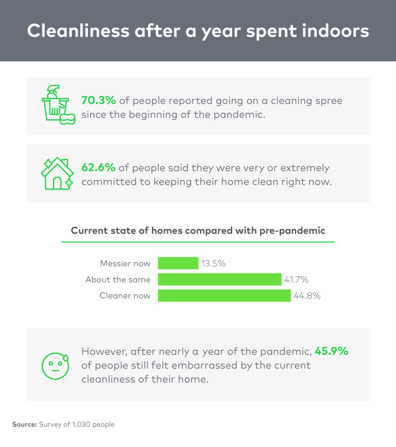 Statistics on the current state of cleanliness in people's homes